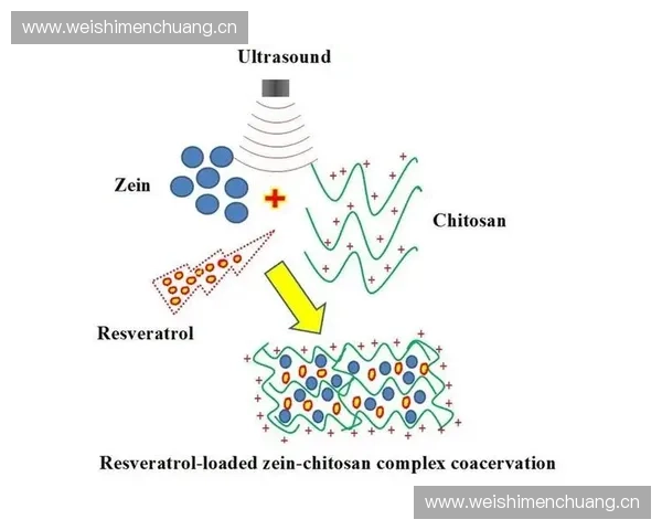 冰面摩擦力对滑行速度和运动轨迹的影响研究与应用分析
