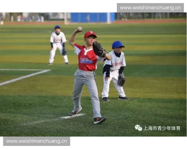 构建以体育培训体系为核心的青少年全面发展模式研究 构建以体育培训体系为核心的青少年全面发展模式研究