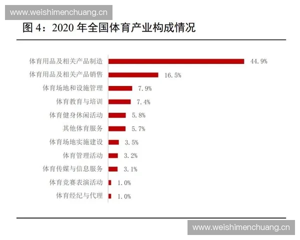 体育健康产业化驱动下的创新发展模式与市场前景探讨